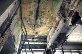 Best Mold Removal for HVAC Installations  in USA